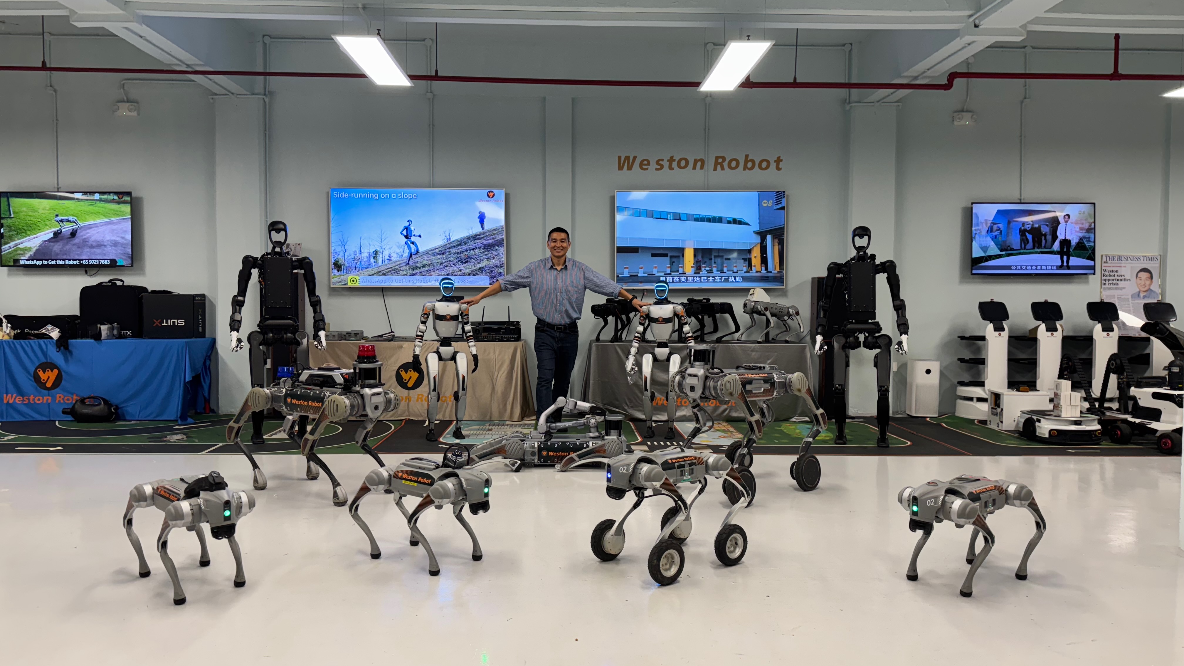 Robot Dog GO2